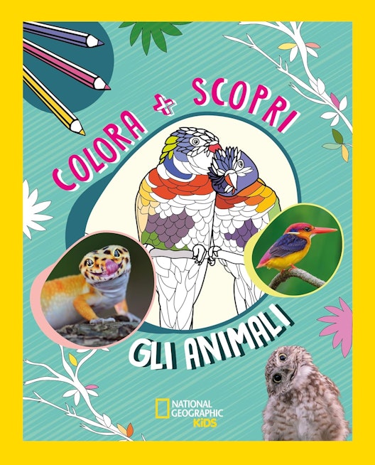 Animali colora più scopri