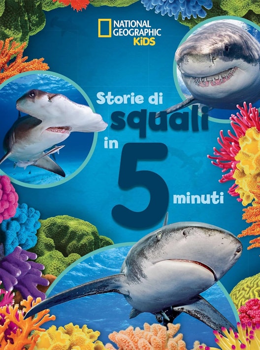 Storie di squali in 5 minuti